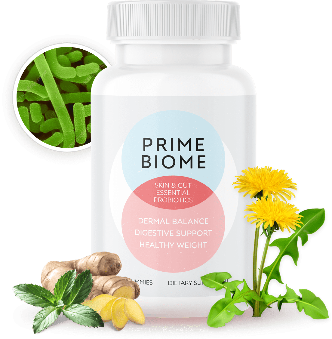 PrimeBiome benefits
